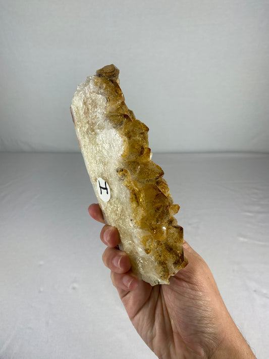 Brazilian Citrine Specimen (I)