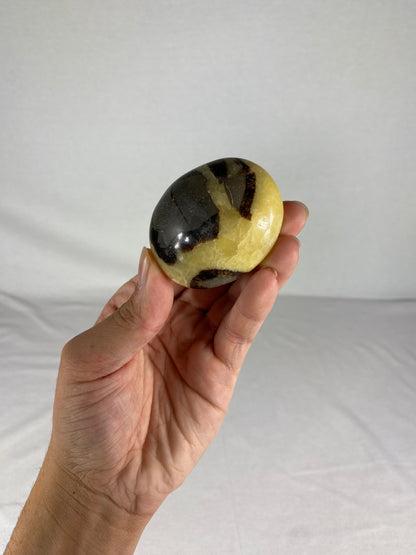 Madagascan Polished Septarian Palm Stone (E)