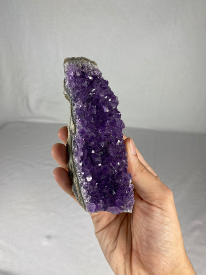 Brazilian Amethyst Specimen (W)