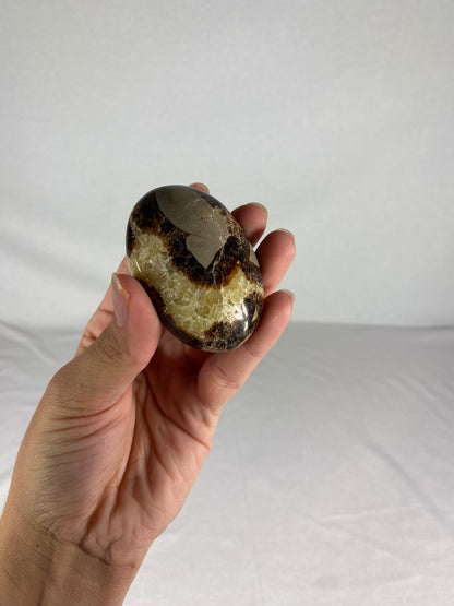 Madagascan Polished Septarian Palm Stone (J)