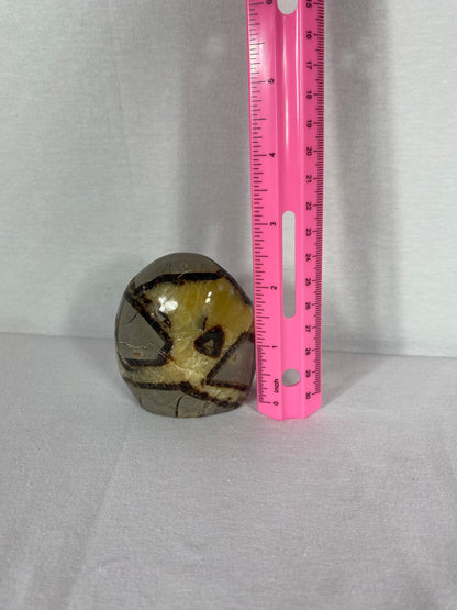 Madagascan Polished Septarian Mountain (P)