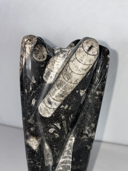 Self Standing Polished Fossilized Orthoceras Specimen (Medium I)