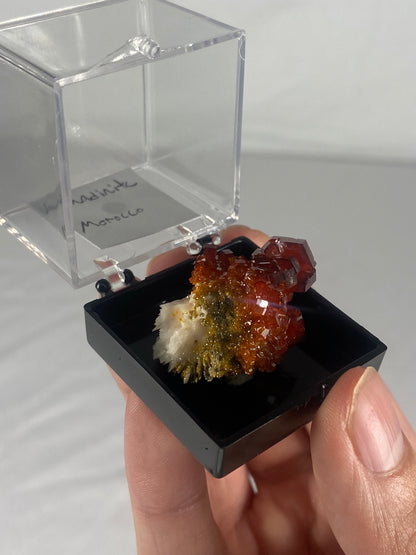 Moroccan Vanadinite Thumbnail Specimen (Small B)