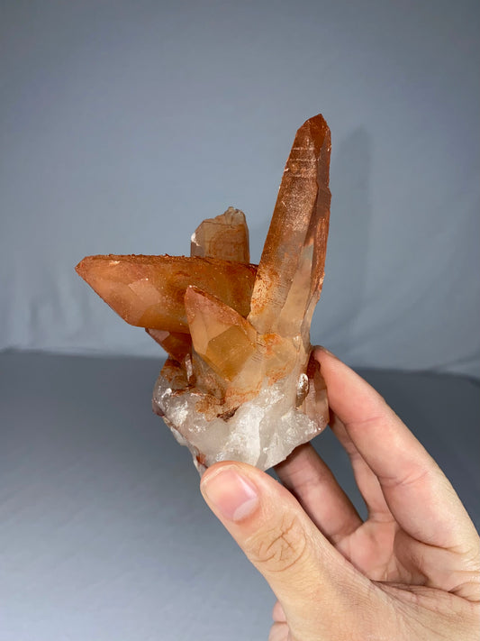 Moroccan Hematoid Quartz Specimen (L)