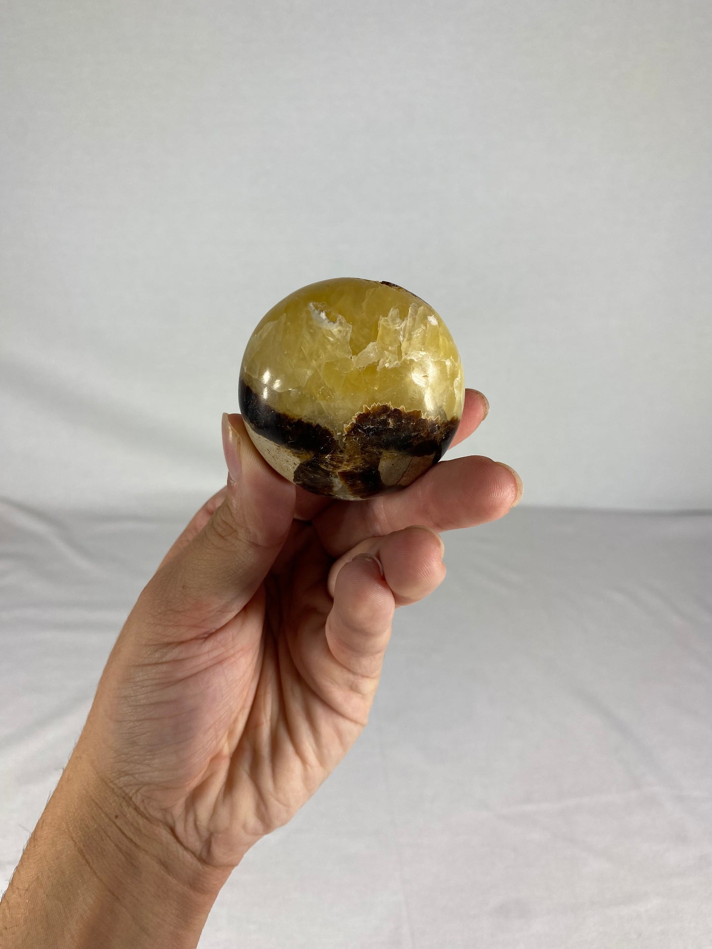 Madagascan Polished Septarian Palm Stone (D)