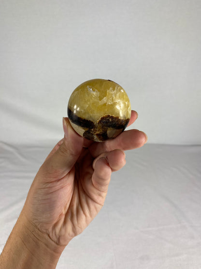Madagascan Polished Septarian Palm Stone (D)