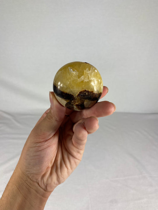 Madagascan Polished Septarian Palm Stone (D)