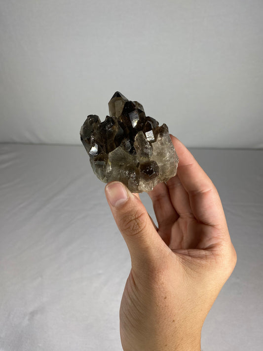 Brazilian Smokey Quartz Specimen (R)