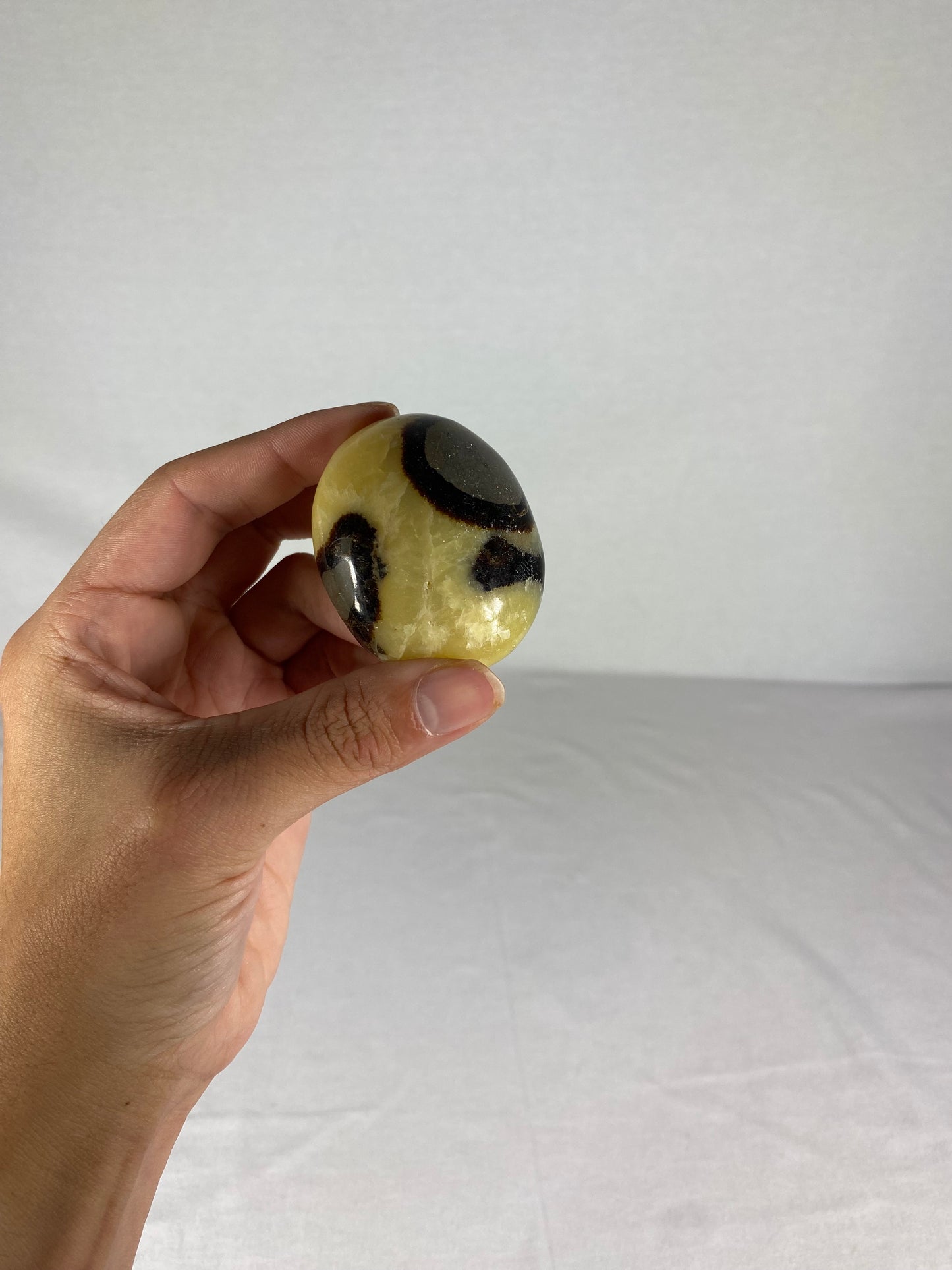 Madagascan Polished Septarian Palm Stone (E)
