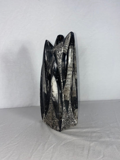 Self Standing Polished Fossilized Orthoceras Specimen (Medium E)