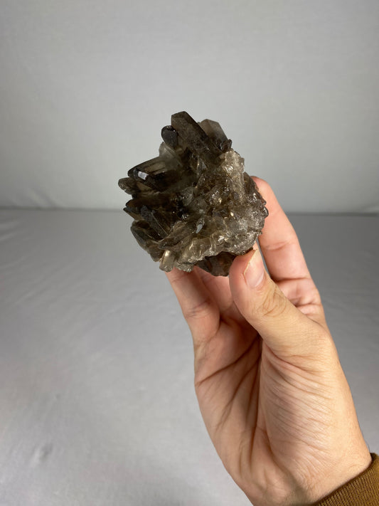 Brazilian Smokey Quartz Specimen (N)
