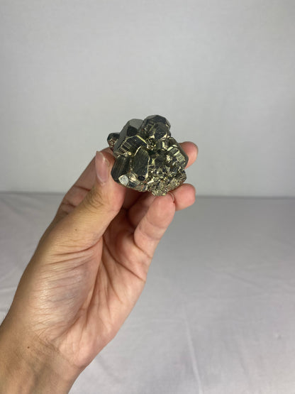 Peruvian Cubic Pyrite Specimen (M)