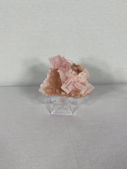 Californian Pink Halite Specimen (F)