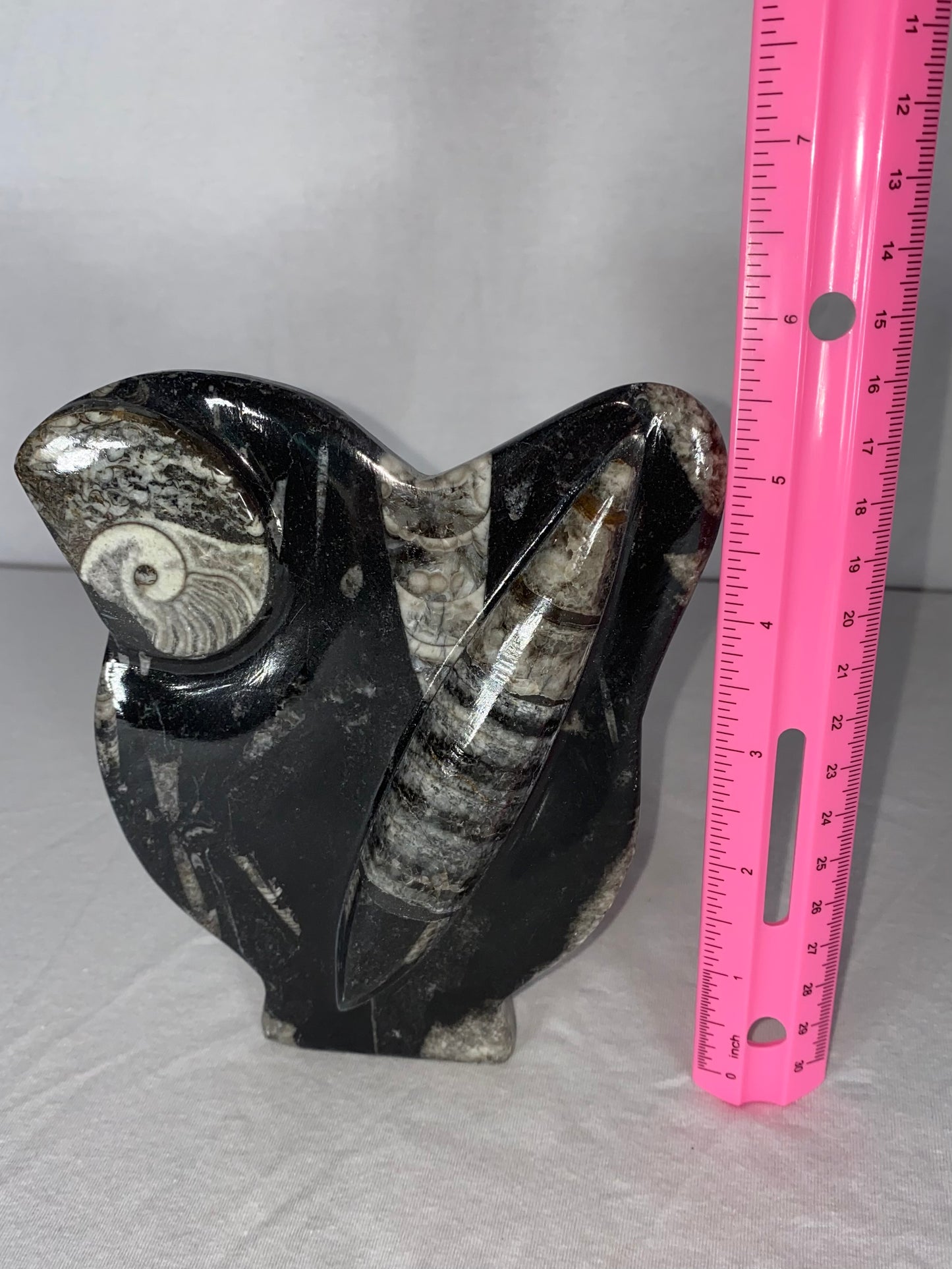 Self Standing Polished Fossilized Orthoceras & Shell Specimen (R)