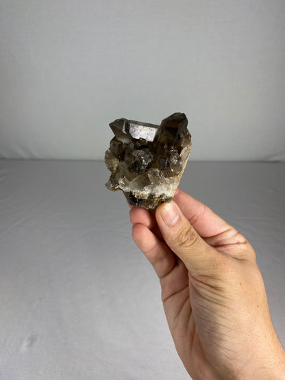 Brazilian Smokey Quartz Specimen (H)