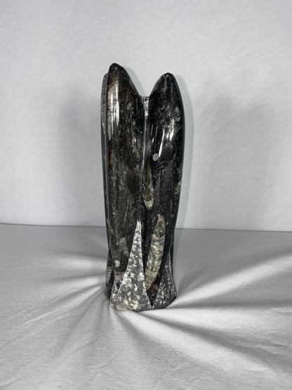 Self Standing Polished Fossilized Orthoceras Specimen (Medium A)