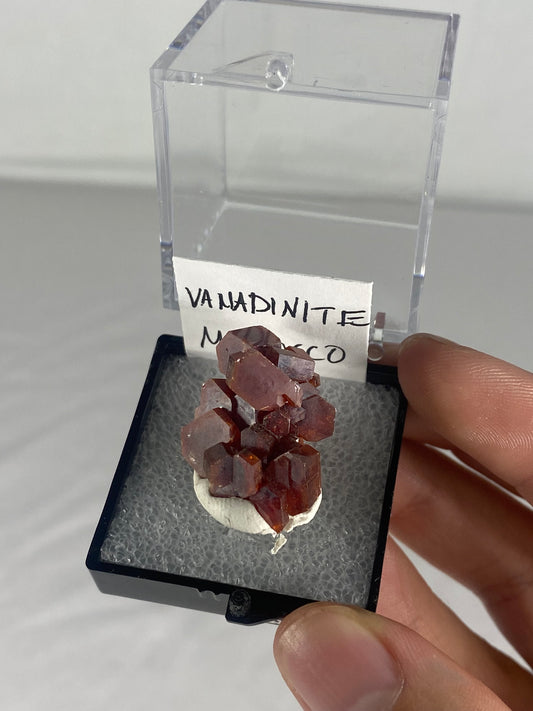 Moroccan Vanadinite Thumbnail Specimen (Pre-Done D)