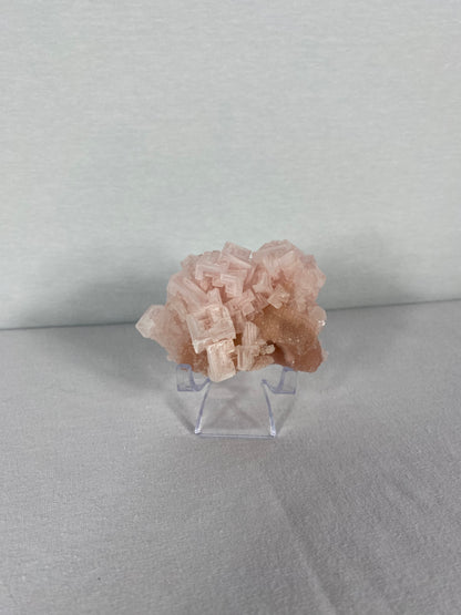 Californian Pink Halite Specimen (G)