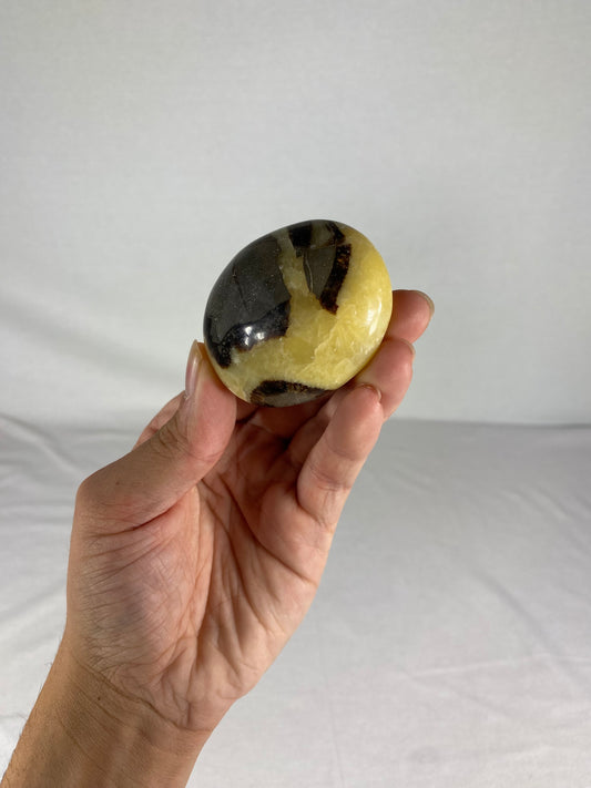 Madagascan Polished Septarian Palm Stone (E)