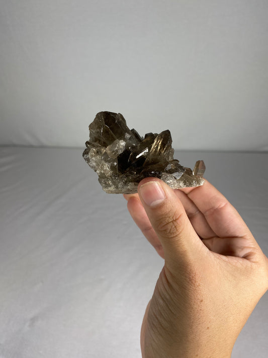 Brazilian Smokey Quartz Specimen (P)