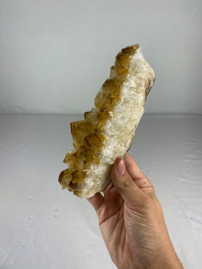 Brazilian Citrine Specimen (I)