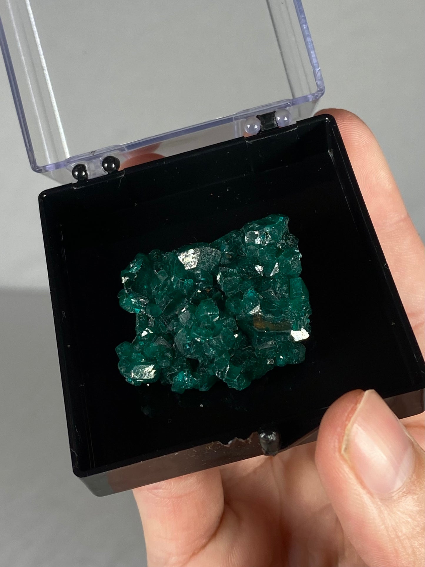 Dioptase Thumbnail Specimen (A)