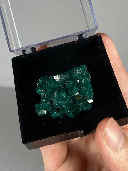 Dioptase Thumbnail Specimen (A)