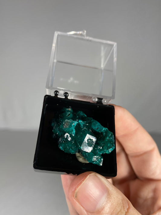 Dioptase Thumbnail Specimen (C)