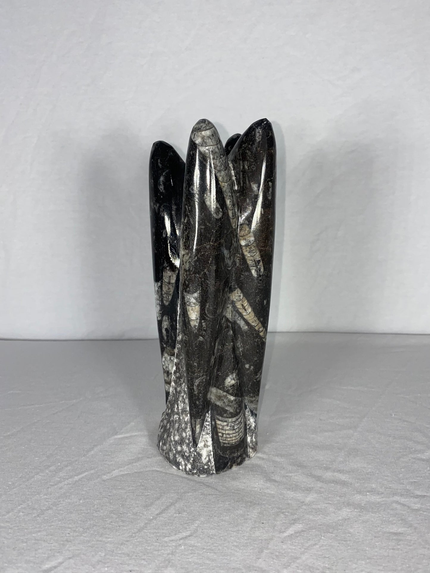 Self Standing Polished Fossilized Orthoceras Specimen (Medium A)