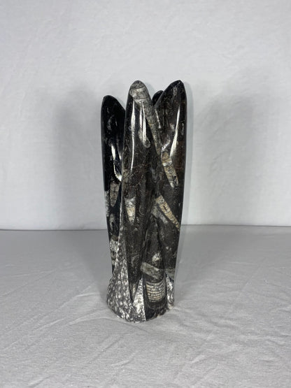 Self Standing Polished Fossilized Orthoceras Specimen (Medium A)