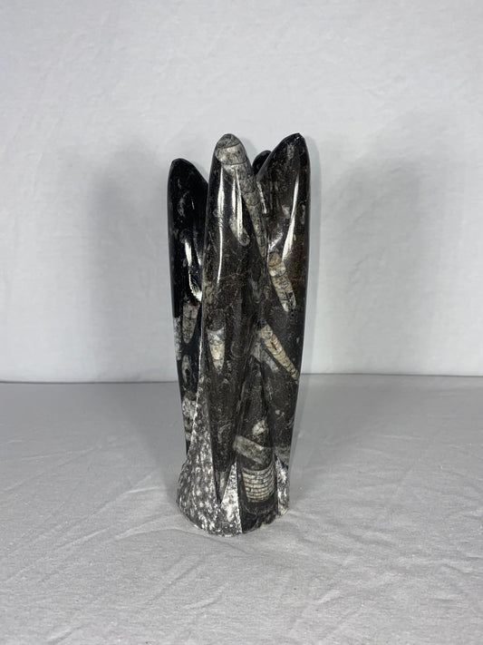 Self Standing Polished Fossilized Orthoceras Specimen (Medium A)