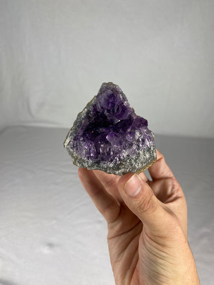 Brazilian Amethyst Specimen (T)