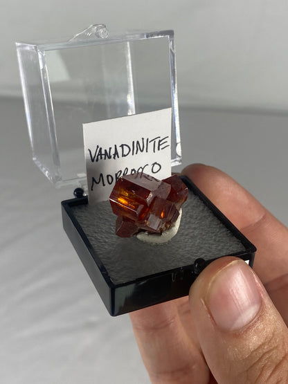 Moroccan Vanadinite Thumbnail Specimen (Pre-Done F)