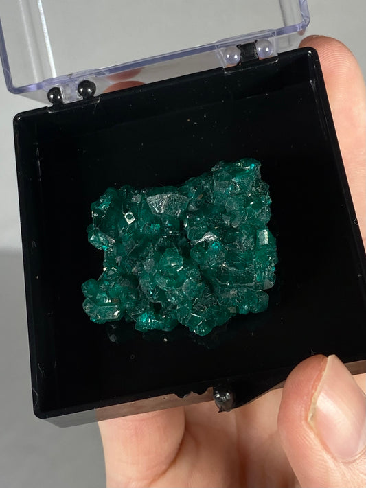 Dioptase Thumbnail Specimen (A)
