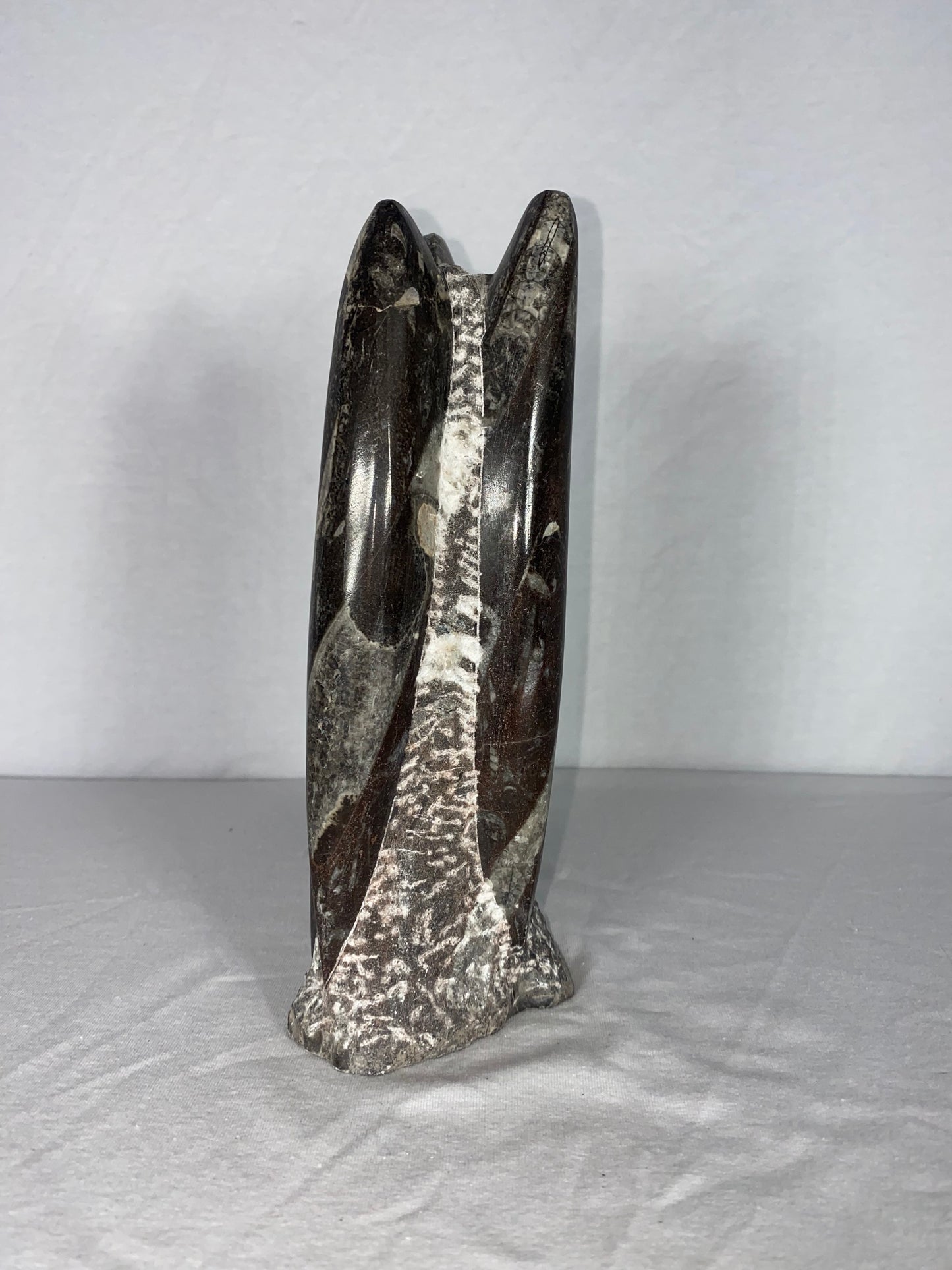 Self Standing Polished Fossilized Orthoceras Specimen (Medium B)