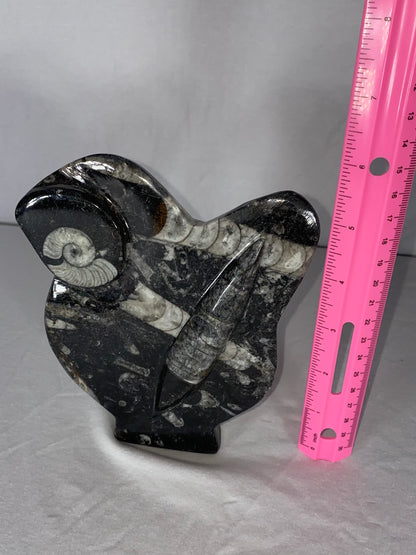 Self Standing Polished Fossilized Orthoceras & Shell Specimen (G)