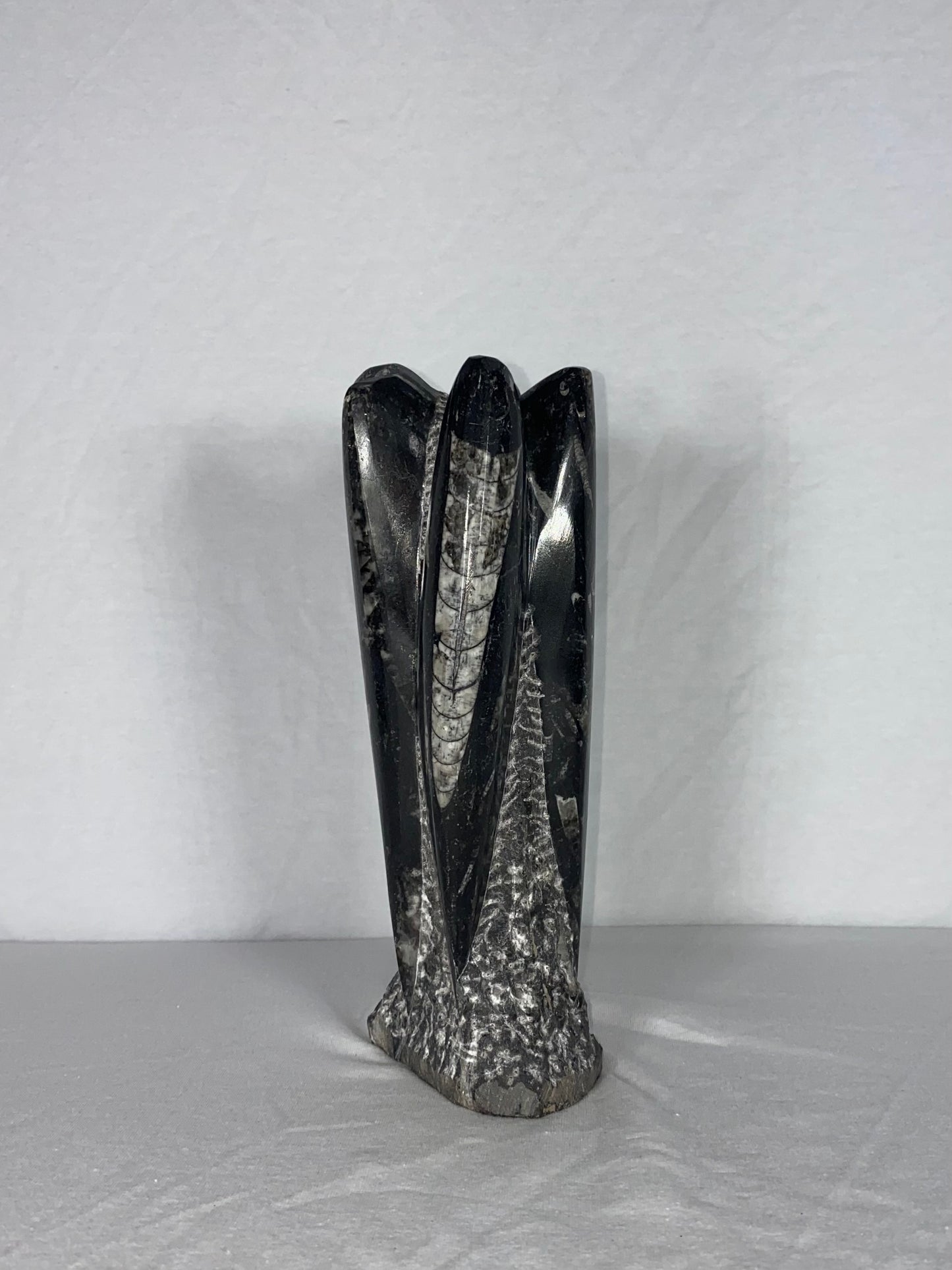 Self Standing Polished Fossilized Orthoceras Specimen (Medium I)