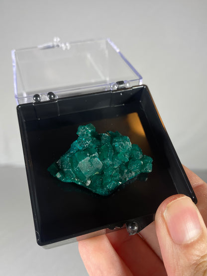Dioptase Thumbnail Specimen (B)