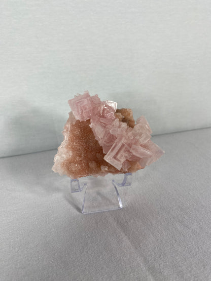 Californian Pink Halite Specimen (F)
