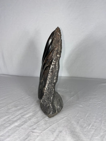 Self Standing Polished Fossilized Orthoceras Specimen (Large C)