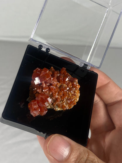 Moroccan Vanadinite Thumbnail Specimen (Medium G)