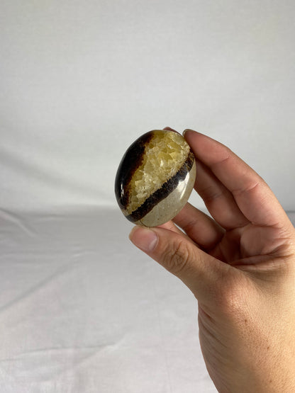 Madagascan Polished Septarian Palm Stone (K)