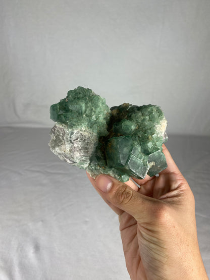 Madagascan Cubic Green Fluorite Specimen (E)