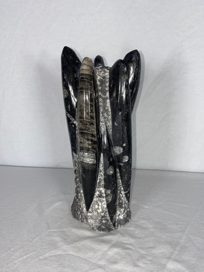 Self Standing Polished Fossilized Orthoceras Specimen (Medium F)