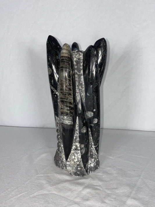 Self Standing Polished Fossilized Orthoceras Specimen (Medium F)