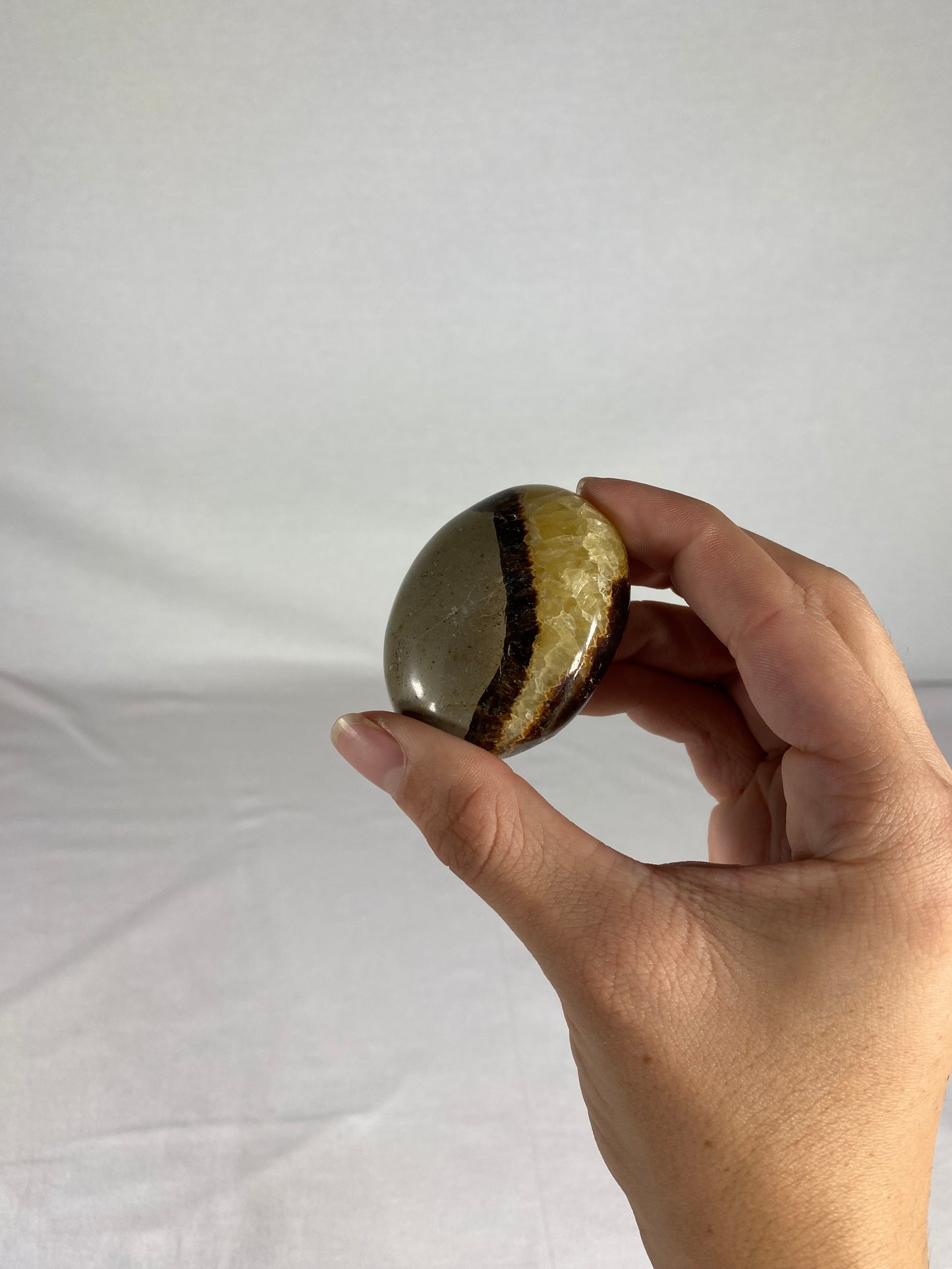 Madagascan Polished Septarian Palm Stone (K)