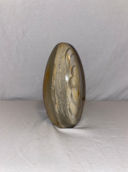 Madagascan Polished Polychrome Jasper Mountain (D1)