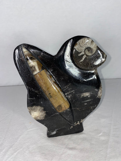 Self Standing Polished Fossilized Orthoceras & Shell Specimen (P)