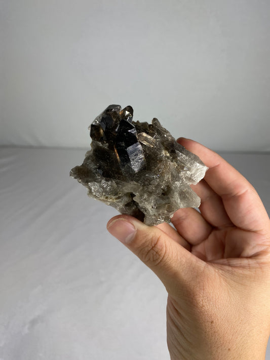 Brazilian Smokey Quartz Specimen (Q)