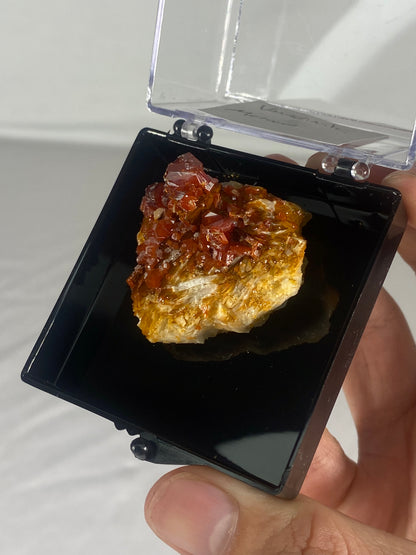 Moroccan Vanadinite Thumbnail Specimen (Medium B)